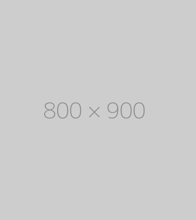 Hongo 800×900 Ph